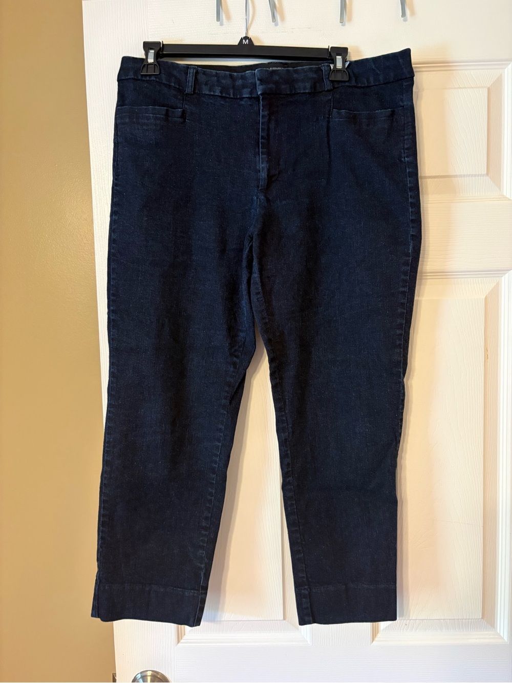 Banana Republic Dark Blue Cropped Capris